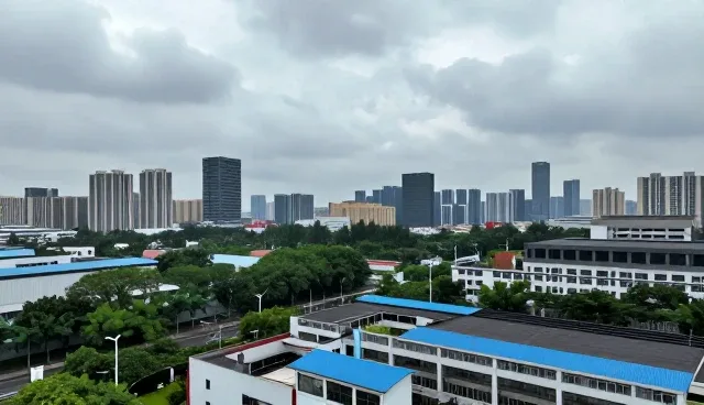企业管理系统选型中的应用开发关注点